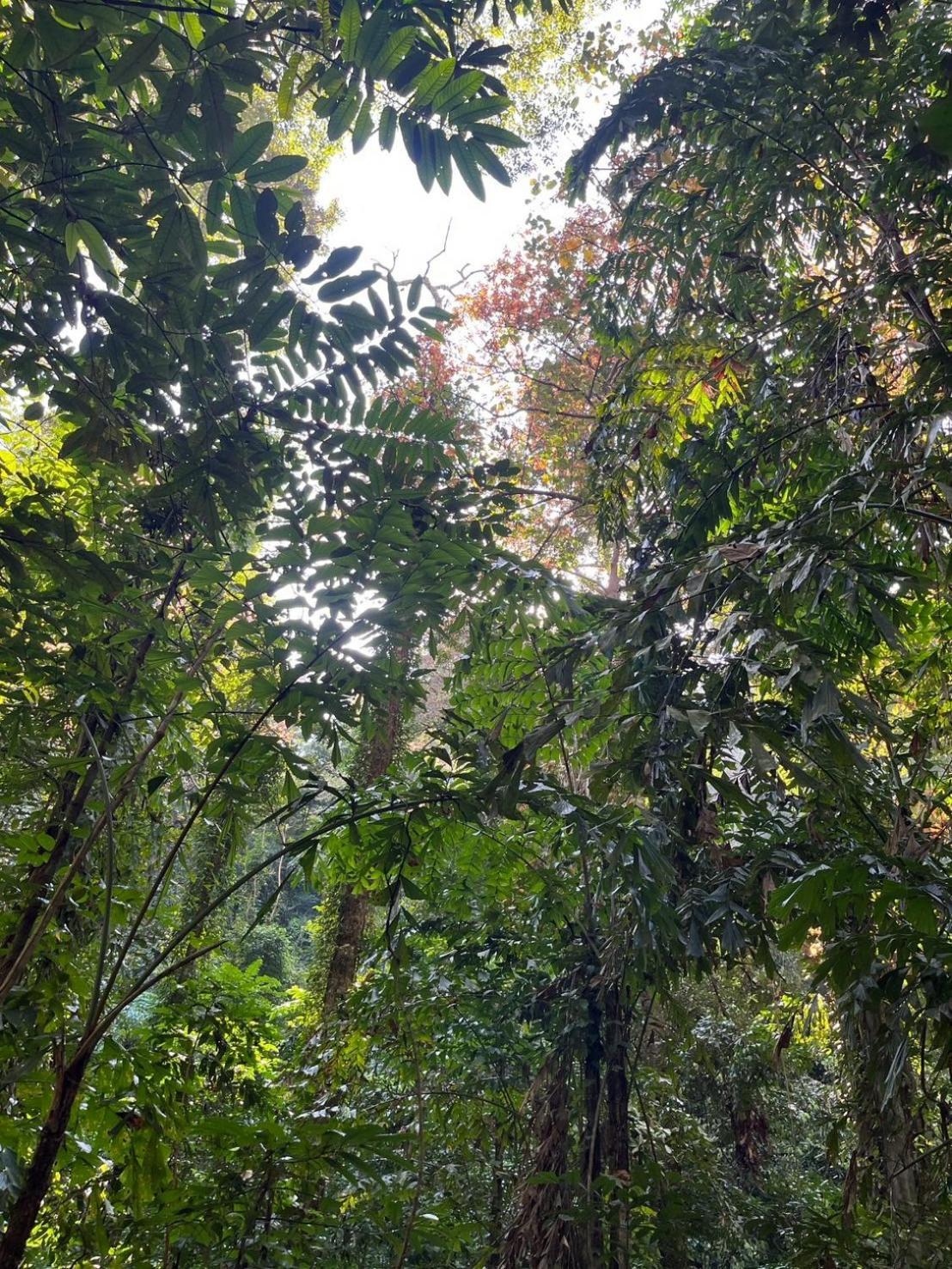 דירות Ban Tha Ton Do Koh Yao Noi מראה חיצוני תמונה